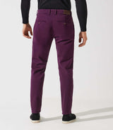 Pantalon chino violet VALOR - IZAC