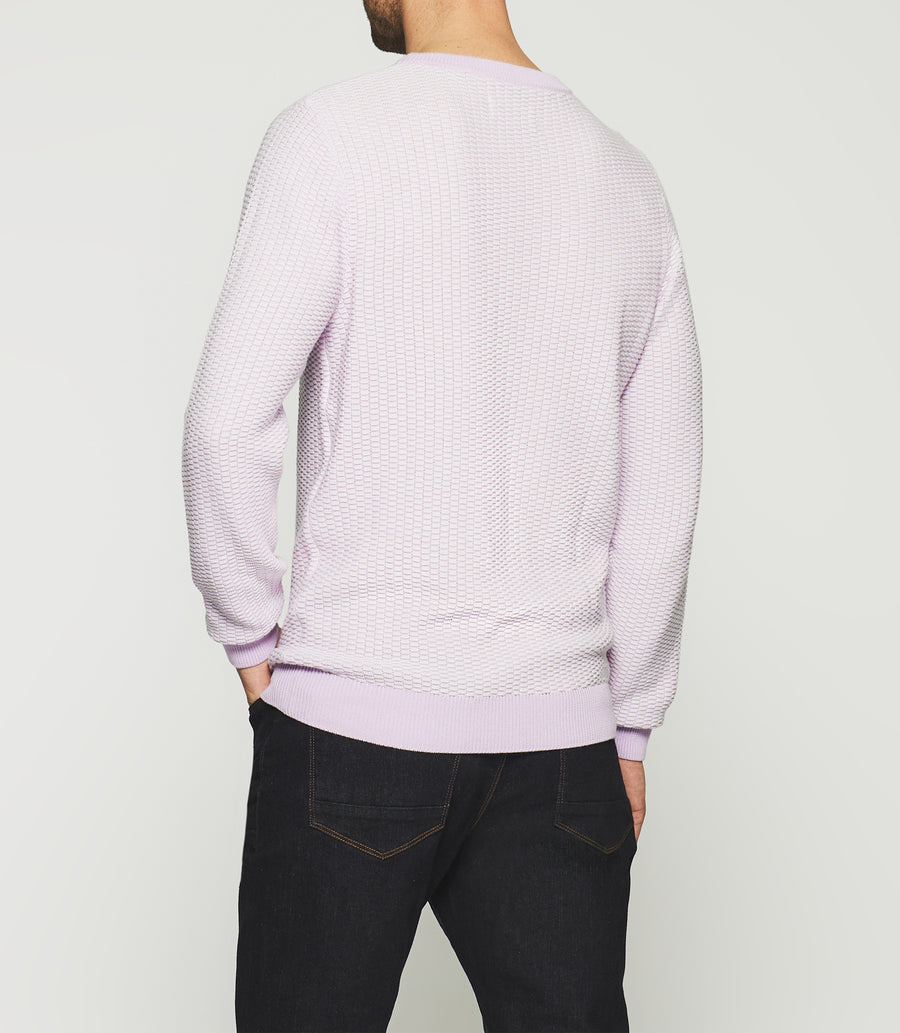 Round neck sweater purple and ecru DAMIAN