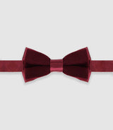 Nœud papillon effet satin bordeaux NPDUOTARKAN - IZAC